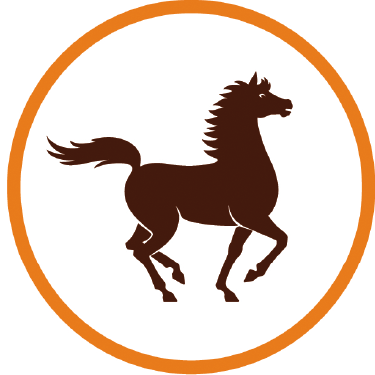 Partenaire 4